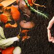 Organic waste for composting on soil and woman holding green seedling, top view. Natural fertilizer