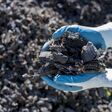 rubber, tires, automotive, waste, recycling, industry, treatment, reuse, man, close up, renewable, sustainability, pyrolysis, alternative, energy, fuel, ecology, shredded, pollution, pile