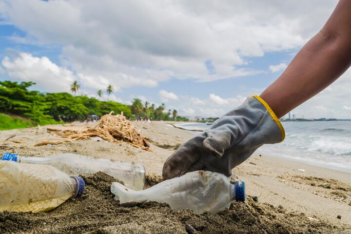 pick up person plastic garbage on beaches, wearing gloves collected from waste in the Caribbean Sea