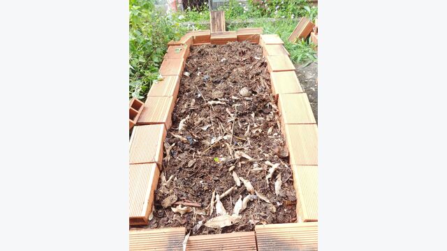 Community composting project Trinidad and Tobago 1