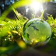 earth ball, globe, ecology, environment, planet, earth, sustainable, climate protection, europe, sustainability, world, global, asia, earthball, days, green, africa, forest, nature, biosphere, moss, plant, leaf, grass, leaves, sphere, light, climate, sunlight, climate conference, morning, continents, glass, natural, meadow, protection, holding, concept, care, backgrounds, conservation, map, recycling, summer, spring, fresh, field