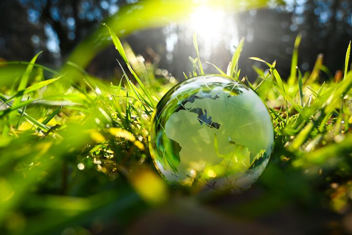 earth ball, globe, ecology, environment, planet, earth, sustainable, climate protection, europe, sustainability, world, global, asia, earthball, days, green, africa, forest, nature, biosphere, moss, plant, leaf, grass, leaves, sphere, light, climate, sunlight, climate conference, morning, continents, glass, natural, meadow, protection, holding, concept, care, backgrounds, conservation, map, recycling, summer, spring, fresh, field