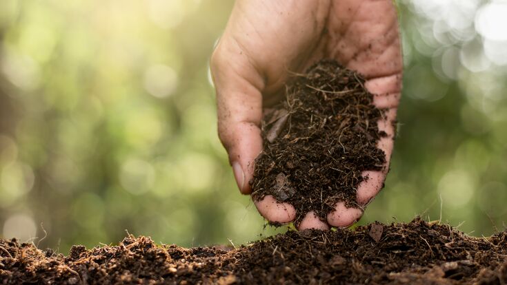 Las manos de los hombres agrícolas están recogiendo el mejor suelo para la siembra.