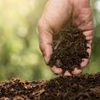 The hands of the agricultural men are picking the best soil for planting.