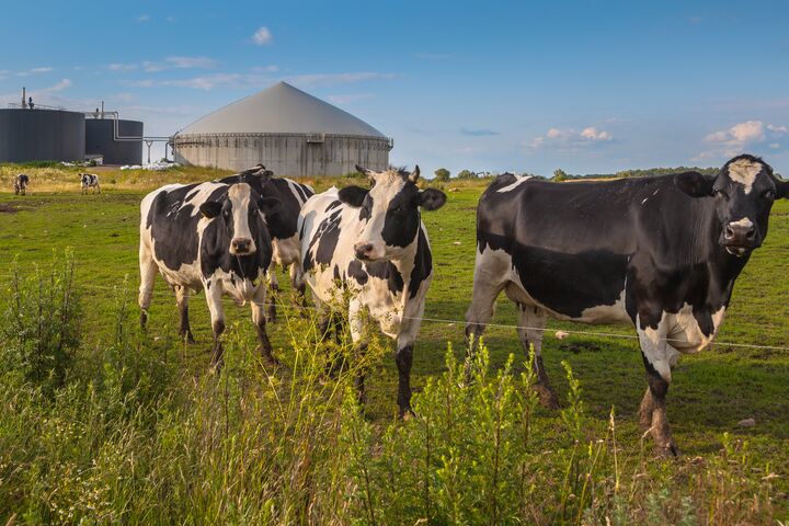 Bio Gas Installation on a farm processing Cow Dung as a side business activity