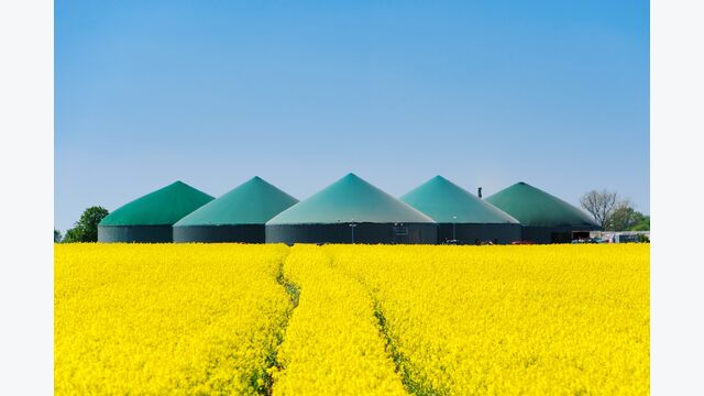 biogasanlage, biogas, biokraftwerk, energie, biomasse, agrar, raps, rapsfeld, bioabfälle, methan, silage, landwirtschaft, monokulturen, energieversorgung, energiepflanze, erneuerbare energien, alternative energien, landschaft, umweltschutz, kohlendioxid, rohstoff, umwelt, öko, ökonomisch, bio, ökologie, regenerativ, fermentieren, co2, feld, kraftwerk, technik, canola, gas, strom, natur, ressource, wachstum, flora, blüte, rapsblüte, himmel, sonne, himmelblau, horizont, gelb, blau, grün