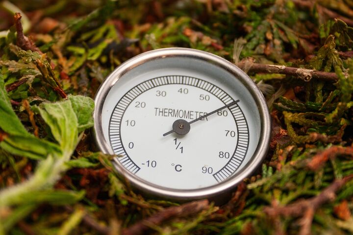 Thermometer showing high temperature in the compost pile. Close Up.