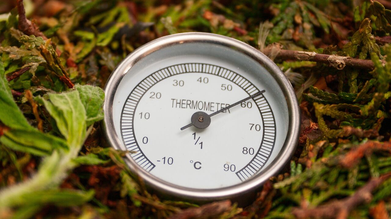 Best Compost Thermometers for 2023 - Compost Magazine