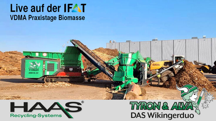 Haas, Tyron & Alva, das Wikingerduo