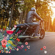 WMW3 Cover, motorbike, wood, driving