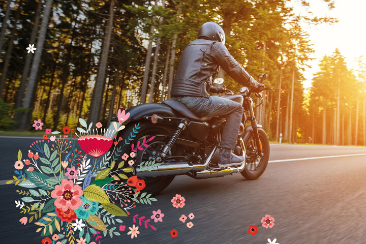 WMW3 Cover, motorbike, wood, driving