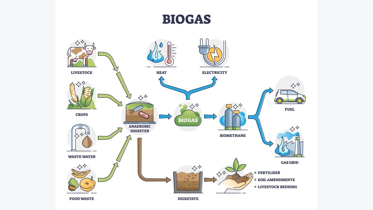 Interview: “Biomethane Is The Joker Amongst The Renewable Energies” | WMW