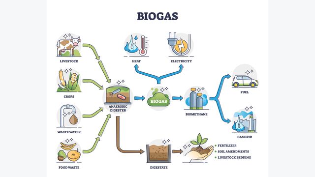 Biogás o división de biogás para consumo de energía y diagrama de esquema de fuentes.  Recurso renovable natural educativo etiquetado para la red de gas ecológico y la ilustración vectorial de combustible o calor y electricidad.