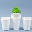 Biodegradable glass of water and plant. Eco friendly concept.