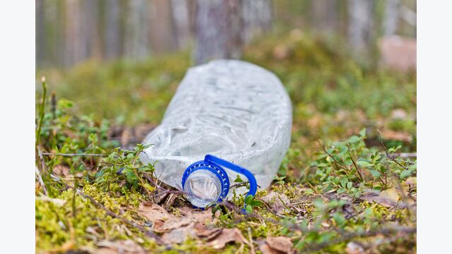 bottle, litter, get dirty, environment, ecology, disaster, plastic, container, nature, garbage, throw away, unnecessary, forest, tree, leaf, park, leaves, green, grass, outdoors, walking, hiking, trees, path, people, woods, season, wood