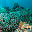 962589990 ghost net, marine debris, net, rubbish, trash, ocean debris Fishing net stuck on a coral reef
