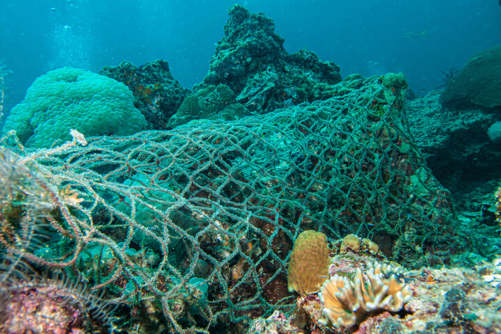 962589990 ghost net, marine debris, net, rubbish, trash, ocean debris Fishing net stuck on a coral reef