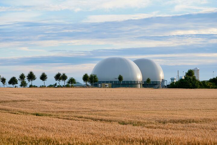 Biogas plant next to a yellow grain field. Summer sky with blue clouds. The evening sun lights up the gas storage tanks.