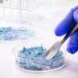 hand of traces of plastic and microplastic in petri dish, analyzed in laboratory, study of environmental problem
