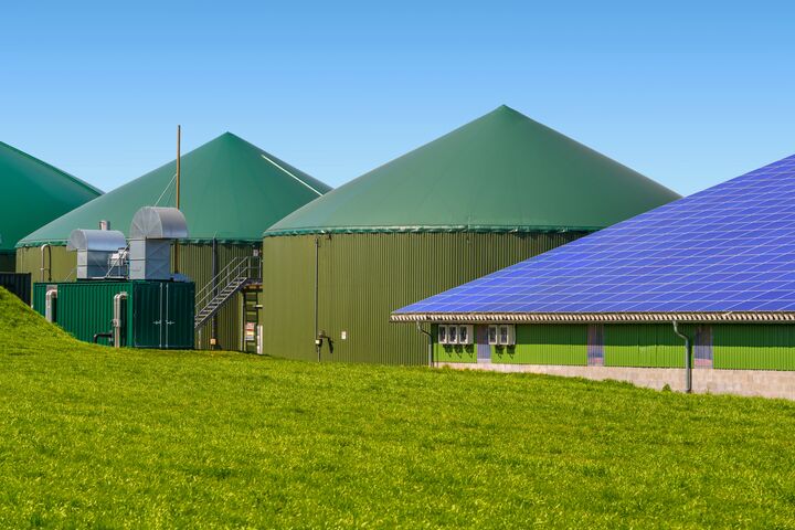 biogasanlage, biogas, energiegewinnung, energieerzeugung, biologisch, biogaserzeugung, mais, maisfeld, bioenergie, biomasse, bio, pflanzensilage, gärrohstoff, vergärung, erneuerbar, energie, megawatt, nachhaltigkeit, nachwachsend, rohstoffe, silo, umwelttechnik, feld, landwirtschaft, solarstrom, solardach, solarzellen, solarplatten, sonne, licht, autark, alternative, dach, hallendach, einsatz, regenerativ, stromerzeugung, energiequelle, energieumwandlung, nutzung, photovoltaik, photovoltaque, solarenergie, technik, sonnenenergie, stall, halle, pultdach