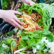 Composting the Kitchen Waste