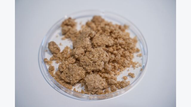 Chitin obtained in the SCALIBUR project ITENE 2, biowaste