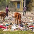 two workers cleaning garbages in dumping area, workers cleaning dumping site, pollution control, pollution concept