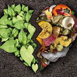 Aufmacher Bioplastic and composting