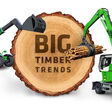 wood, tree, isolated, circle, stump, rings, round, texture, warm, nature, cracks, large, cut, robust, ecology, earthy, slice, detailed, cross section, brown, tan, orange, ripples, white, sustainable, recycled, shape, top, trunk, oak, maple, dead, life, compost, rough, years, age, aged, old, log, neutral
