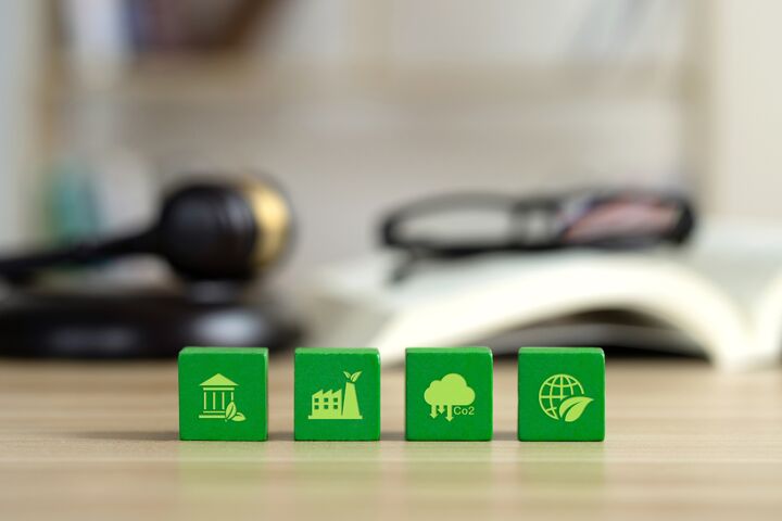 The environmental law or politician with nature and environment-friendly values. Green wooden cubes with a decarbonization icon and green icon.Sustainable development.global warming and conservation.