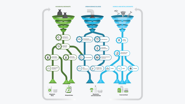 Scalibur Infographic
