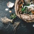 waste, food, compost, organic, kitchen, composting, recycling, biodegradable, garbage, environment, friendly, leftovers, bin, space, vegetable, ecology, nature, household, green, agriculture, garden, scraps, fruit, environmental, pile, trash, negative, stew, responsible, decompose, natural, rotting, soil, design, fertilizer, eco, ecological, recycle