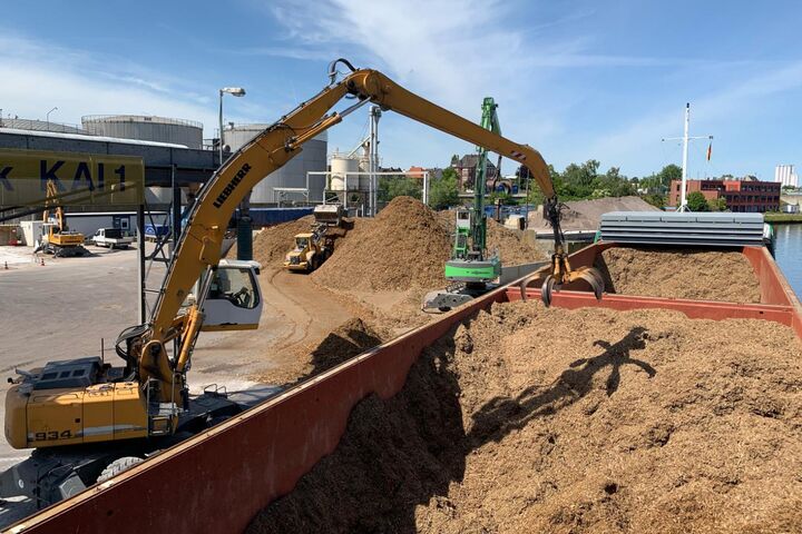Wood export 2, Geminor, biomass