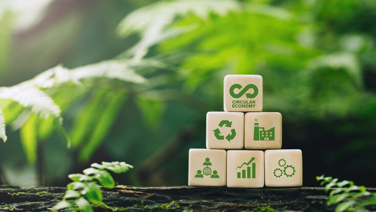 © Pcess609 - stock.adobe.com Circular economy concept.wooden cubes with a Circular economy icon on a green background. circular economy for future growth of business and design to reuse and renewable material resources.