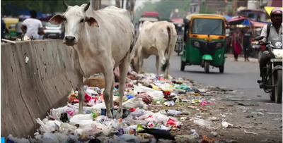 How is India dealing with the ever growing waste generation?: Rags to ...