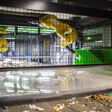 Fibre line robots at Panda