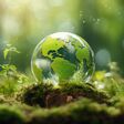 Towards a Greener Future: Visualizing Sustainable Goals and Carbon Neutral Strategies in Global Business Development