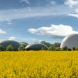 bio, biogas, biogas anlage, maissilage, maisernte, lohnunternehmen, agrar, landwirtschaft, mais, energie, silage, erntezeit, vergärung, biomasse, blockheizkraftwerk, wärmeerzeugung, stromerzeugung, biomethan, bioabfällen, methan, kohlendioxid, umwelt, biogasförderung, klimaziele