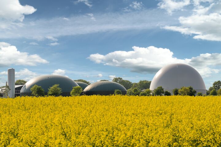 bio, biogas, biogas anlage, maissilage, maisernte, lohnunternehmen, agrar, landwirtschaft, mais, energie, silage, erntezeit, vergärung, biomasse, blockheizkraftwerk, wärmeerzeugung, stromerzeugung, biomethan, bioabfällen, methan, kohlendioxid, umwelt, biogasförderung, klimaziele