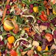 compost, recycling, organic waste, garbage, decay, rubbish, ecology, waste, natural, fertilizer, food, biodegradable, leftover, vegetable, fruit, heap, pile, dump, composting, bin, onion, soil, decompose, kitchen, green, peel, organic, bio, rotten, leaf, leftovers, egg, recycle, scraps, tomato, garden, plant, rot, nature, environment, ecological, smelly