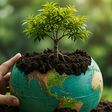 international environment day safe the world, plant, hand, tree, growth, nature, holding, life, leaf, new, green, agriculture, earth, environment, soil, growing, isolated, sprout, care, seedling, young, concept, ecology, protection, dirt, small