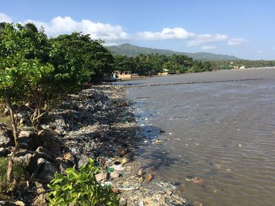 Litter along shoreline Samana DR 2019 CCBO