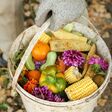 zero waste, compost, bucket, composting, concept, waste, vegetable, fruit, bio, scraps, fruits, vegetables, close-up, close up, biodegradable, farmer, gardener, hand, garden, biomass, plant, grass, flower, corn, pepper, food, bio-waste, biowaste, zero, gardening, gloves, put, closeup, plants, leaf, leaves, leftovers, biological, outdoor, outdoors, ecology, compost heap, recycling, homemade, organic, weed, agriculture, nature