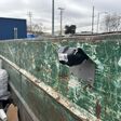 Source Sensoneo 1, Waste sensor