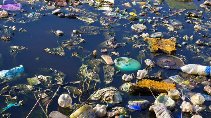 river, pollution, water, environmental disasters, garbage, trash, waste, bags, blue, bottles, carelessness, day, dirty, ecology, environment, environmental protection, float, germs, grass, green, lack of care, lake, messy, nature, neglected, negligence, outside, plastic, poison, source of infection, stink, sunny, town, ugly, village