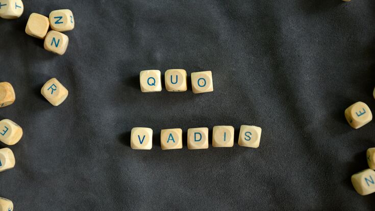 quo vadis, buchstaben, würfel, buchstabieren, buchstabenwürfel, alphabet, holz, zeichen, briefe, kubus, würfeln, sprache, wörter, wort