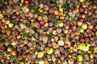 New collections for organic waste will be a key part, boosting the volume of material going through alternative proven processes such as anaerobic digestion
