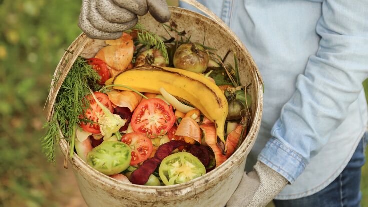 zero waste, compost, bucket, composting, concept, separate, waste, collection, vegetable, fruit, bio, scraps, fruits, vegetables, close-up, close up, biodegradable, farmer, gardener, hand, garden, biomass, plant, grass, weed, tomato, banana, food, bio-waste, biowaste, zero, gardening, gloves, degradable, closeup, plants, leaf, leaves, leftovers, biological, outdoor, colorful, ecology, compost heap, recycling, homemade, organic, agriculture, nature
