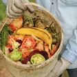 zero waste, compost, bucket, composting, concept, separate, waste, collection, vegetable, fruit, bio, scraps, fruits, vegetables, close-up, close up, biodegradable, farmer, gardener, hand, garden, biomass, plant, grass, weed, tomato, banana, food, bio-waste, biowaste, zero, gardening, gloves, degradable, closeup, plants, leaf, leaves, leftovers, biological, outdoor, colorful, ecology, compost heap, recycling, homemade, organic, agriculture, nature