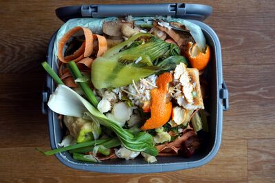Container of domestic food waste, ready to be collected by the recycling truck
